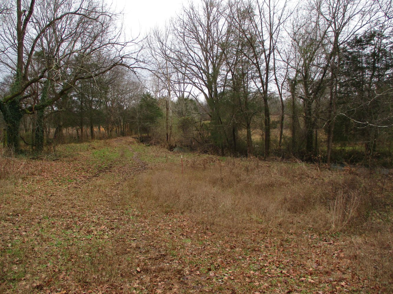 Highway 11 & County Rd 716: Highway 11 & County Rd 716, Riceville, TN 37370